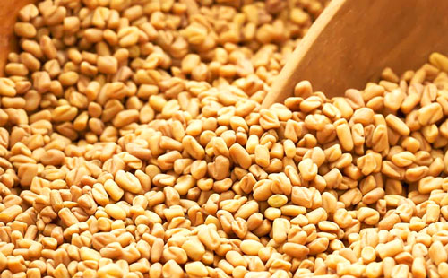 Fenugreek Seeds for hair fall 